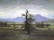 Caspar David Friedrich The Lone Tree oil on canvas